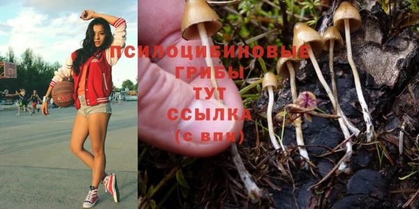 стафф Белая Калитва