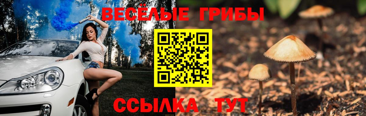 NBOMe Апшеронск