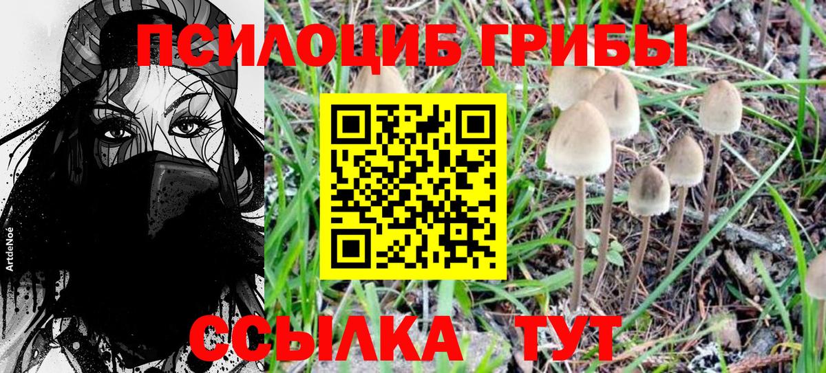 Галлюциногенные грибы Magic Shrooms Апшеронск